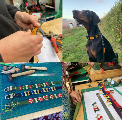 Dog collar and lead workshop - 4.5 hours