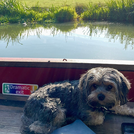 Weird year for boaters!