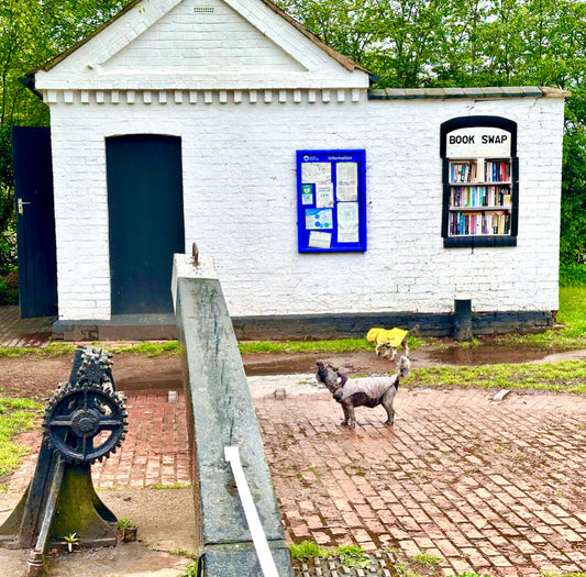The Book Swap at Hillmorton Locks