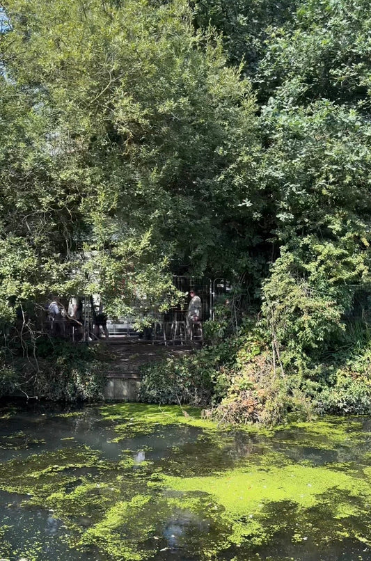 How Not to Reverse a Narrowboat (a true story)